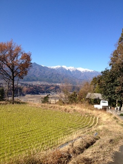 IMG_6601.jpeg